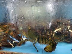 -渔人湾码头海鲜市场负二楼