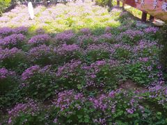 -雅夫酒店(西安市图书馆地铁站店)