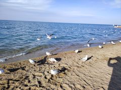 -青海湖国家重点风景名胜区