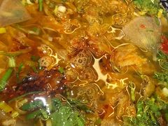 -马艾萨中国兰州牛肉拉面(劲松店)