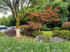 -铁山坪森林公园