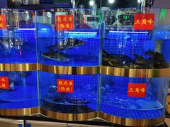 -蛙一刀·麻椒鱼火锅(金仙桥店)