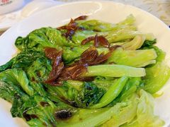 -百利鸽王(紫薇路店)