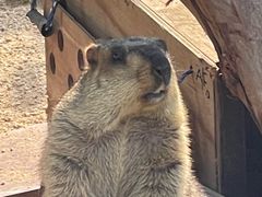 -泉州海丝野生动物世界