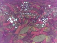 android_upload_pic-渔家海鲜舫(宝湖路店)