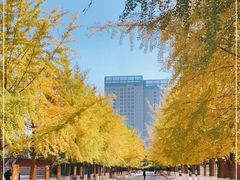 -辽宁大学(崇山校区)