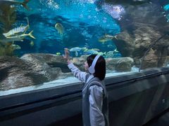 -大连圣亚海洋世界
