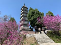 -天台山赤城山景区