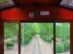 -合肥滨湖国家森林公园