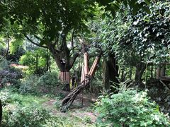 -家富足道·SPA·影院式(解放碑碑中心店)