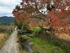 -塔川景区