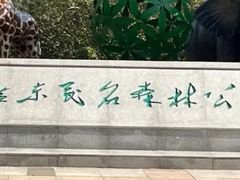 -广东茂名森林公园