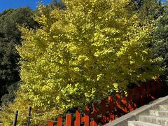 -鹤冈八幡宫
