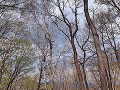 -帽儿山风景区
