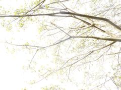 -望江楼公园