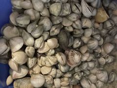 -北海金海湾红树林生态旅游区