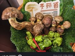 -福照楼汽锅鸡·云南菜(护国路店)