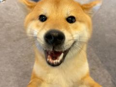 -长白山万达喜来登度假酒店