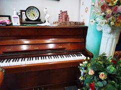 -柯斗斗主题餐厅·狗咖·围炉煮茶·茶饮(国瑞升平里店)