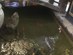 -弘医堂中医院