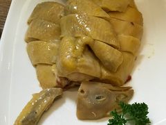 白斩树林鸡-兴圆苑