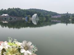 -大塘金香草谷