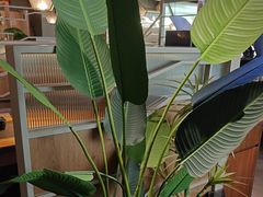 -湊湊火锅·茶憩(皇姑万象汇店)