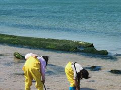 -那香海钻石沙滩浴场