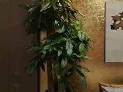 -桃花源中餐厅(金茂豪华精选酒店)