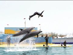 -秦皇岛乐岛海洋王国