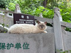 -宝通禅寺