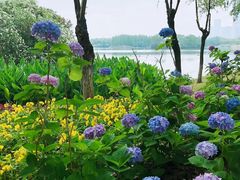 -艾溪湖湿地公园