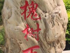 -大槐树寻根祭祖园