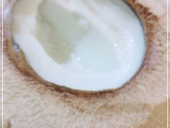 -志龙皇冠吃货椰子铺