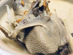 -望乡楼上海菜(日月光店)