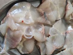 -鸿渡渔庄·特色鸭咀鱼