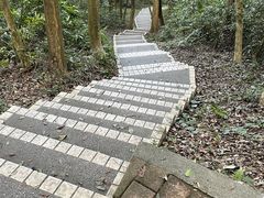 -广州市帽峰山景区