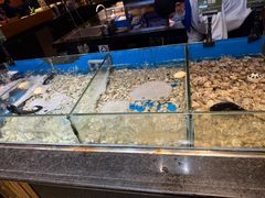 -钱小奴创意自助餐厅·原切谷饲安格斯畅吃(宁波奉化银泰店)