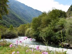 -叠溪松坪沟景区