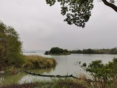 -长广溪湿地公园