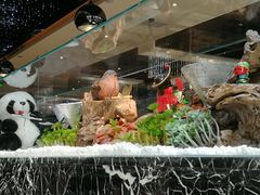 -红辣椒·川菜·火锅(大洋中心店)