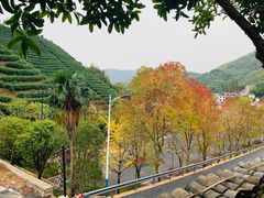 -心无尘茶餐馆(径山村店)