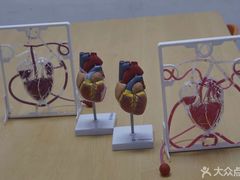 -斯坦星球AI编程·机器人科创·科学实验·信奥·思维·STEM·积木拼搭·竞赛考级(长宁虹桥大融城荟聚中心)