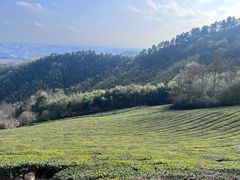 -敬亭山风景名胜区