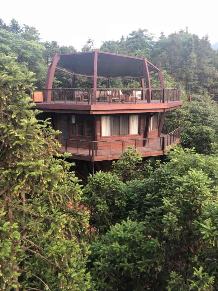 自由家树屋世界-"首次体验了树屋 跟想象的不太一样 但是还.