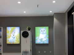 -关爱宠物医院·猫科中心·消化科(滨湖万达分院)