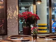 -Apollo·西班牙小酒馆(安福路店)
