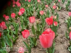 -咸阳湖景区-统一广场