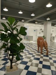 点击看大图 -宝贝天空儿童摄影(花溪店)