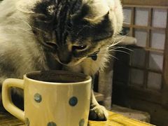 -小时光咖啡馆(开森度假森林店)